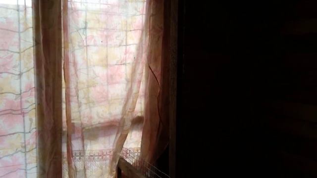 Как погода влияет на яйценоскость кур несушек?