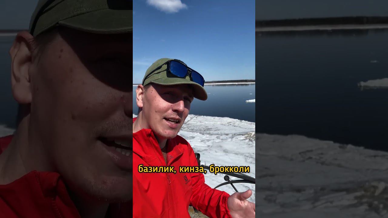 Вкус микрозелени #огородкруглыйгод #микрозелень #гидропоника