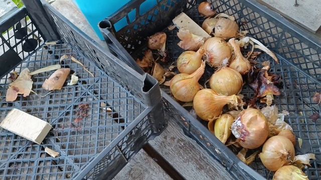 Убрали коз Выбрасили полтора ведра смотреть онлайн