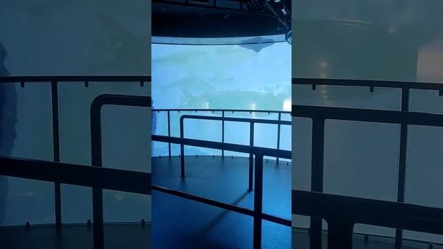 ВДНХ, МЕЖДУНАРОДНАЯ ВЫСТАВКА-ФОРУМ РОССИЯ.2023
