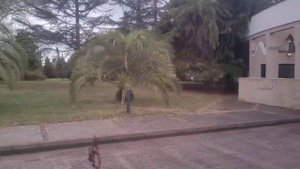 Абхазия январь 2024 Уезжаем из санатория "Самшитовая роща"