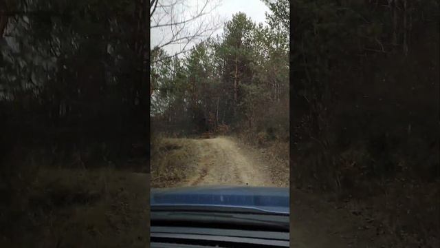 С днем отца смотреть онлайн