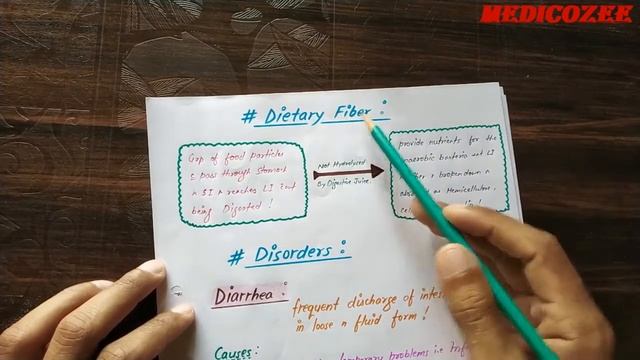 Large Intestine Structure and Function || Physiology of Large Intestine || GIT || MEDICOZEE смотреть онлайн