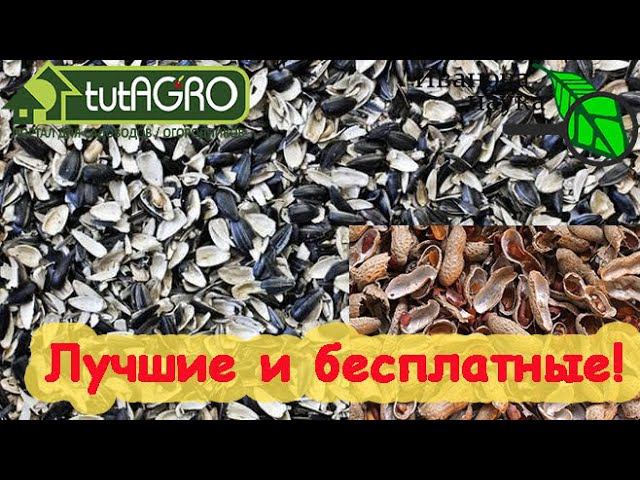 БЕСПЛАТНО и ОЧЕНЬ ПОЛЕЗНО! ШЕЛУХА, ЛУЗГА и СКОРЛУПКИ - ВОТ САМЫЕ ЦЕННЫЕ УДОБРЕНИЯ! Как использовать.