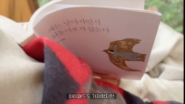 vlog 찐 캠린이의 현실 1박 2일 차박 캠핑(feat.상처)|여자 혼자 차박 텐트 치기|니로차박|근교캠핑장|산들래캠핑장| 캠프밸리 카쉘터|캠핑요리|미라클모닝|직장인브이로그|