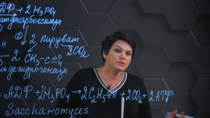 186. Промышленное производство этилового спирта. 1 часть. 10 класс.