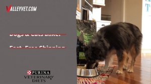 Purina Pro Plan Veterinary Diets