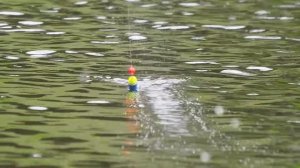 БЕШЕНЫЙ КЛЕВ КРУПНЫХ КАРАСЕЙ на поплавочную удочку! Караси монстры