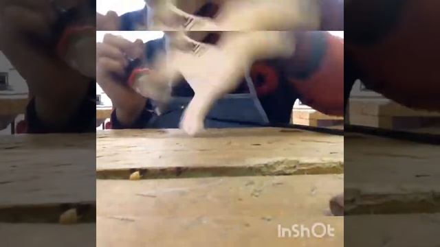Пилю лобзиком