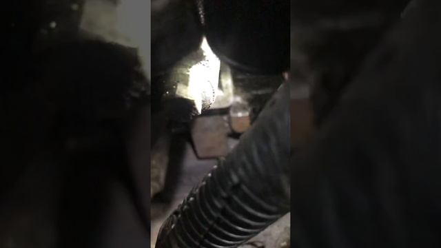 Расположения номера двигателя Рено Клио 1,6 2008 года. смотреть онлайн