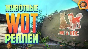 Смешные WoT реплеи #19  | Лучшие приколы в танках