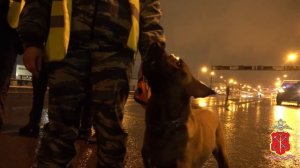 Под Петербургом полиция провела тотальную проверку на дорогах