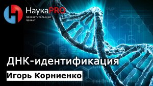 ДНК-идентификация | Лекции по генетике – генетик Игорь Корниенко | Научпоп