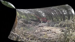 Беларус МЛПТ 344