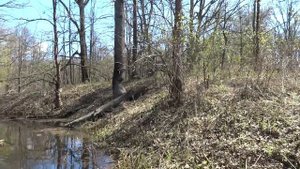 Апрельский сплав по реке Клязьма.