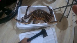как сделать из живого камчатского краба мертвого