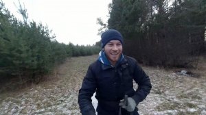 Частенько берем лошадей в лес для этого дела