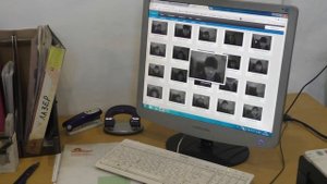 Компания ВудВЕР