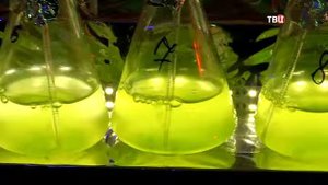 Телеканал "ТВ-Центр". Бензин из водорослей. Передача "Настроение". Популярная наука