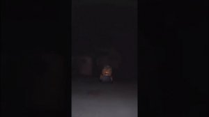 CGI МОНСТРЫ ИЗ TIKTOK СНЯТЫЕ НА КАМЕРУ [ЧЕРНЫЙ КОТ]