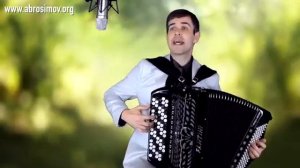 Одинокая ветка сирени под баян