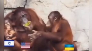 Говорят, что снято в кулуарах какого-то саммита ?