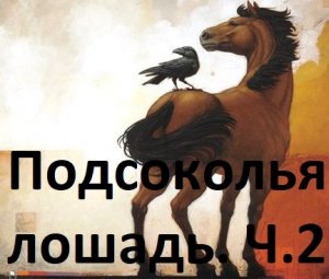 Азбука соколиной охоты #8. Подсоколья лошадь, часть 2. Спокойная лошадь. Конь для соколиной охоты.