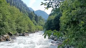 8 маршрут 2021 год