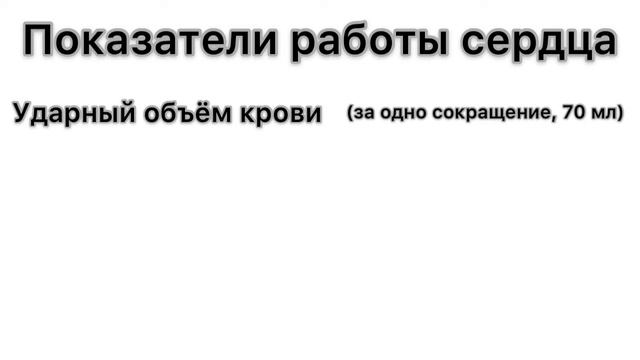 Анатомия и Физиология сердца