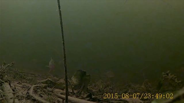 Мордово смотреть онлайн