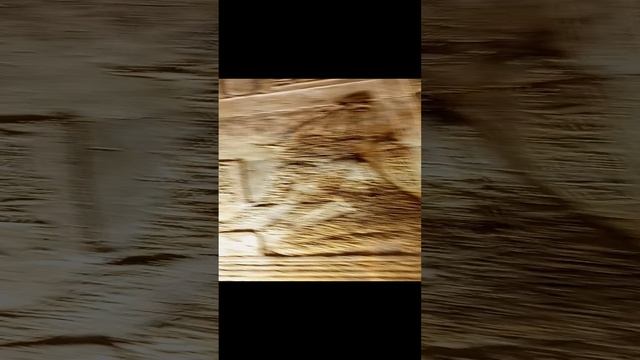Экскурсия в Луксор. Египет. Июль 2023