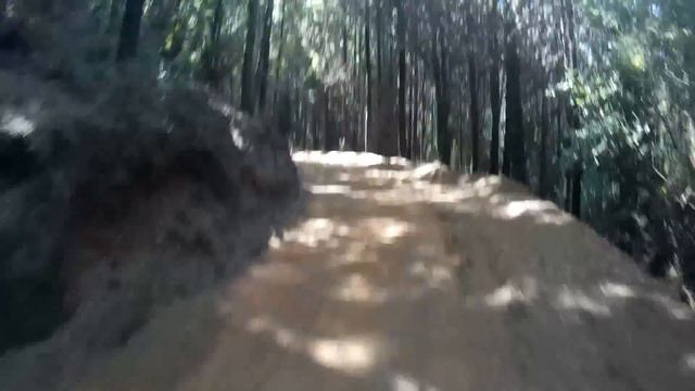 121014 part 2 Yamaha TTR250 - Honda XR 250 смотреть онлайн