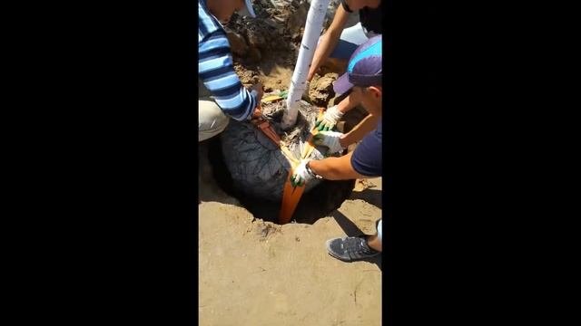 Как использовать скрытое крепление комов растений
