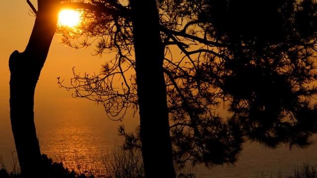 УСТАЛ Я ЖИТЬ... В РОДНОМ КРАЮ.