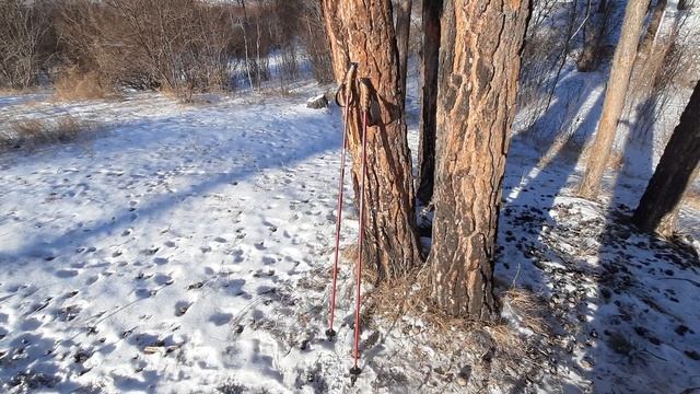 Палки для скандинавской ходьбы outventure nordic walking pole. Часть 2