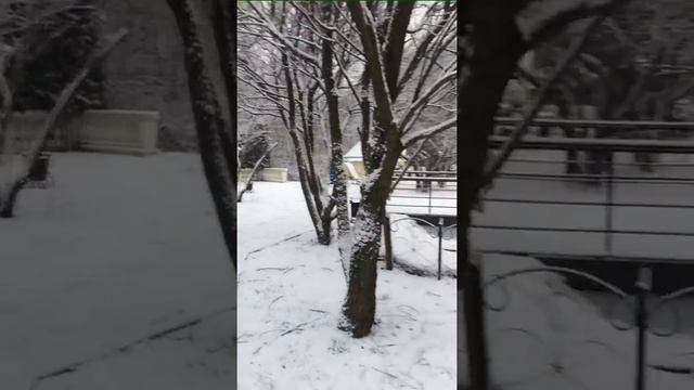 Аренда зимних, теплых беседок смотреть онлайн