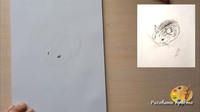 Урок 6️⃣ Учимся рисовать с нуля за 30 уроков.Текстуры
