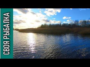 Ловля щуки на воблер осенью на реке Хотча