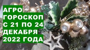 Агрогороскоп с 21 по 24 декабря 2022 года Агрогороскоп з 21 по 24 грудня 2022 року