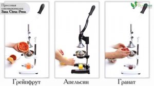Ручная прессовая соковыжималка Sana Citrus Press - тестирование отжима.