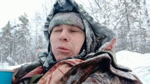 Охота на дикого северного оленя. Были, вчера!