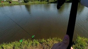 Карп на фидер