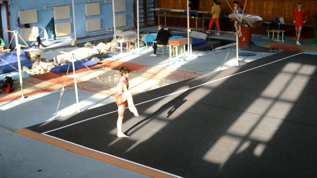 Открытый Чемпионат ДНР по спортивной гимнастике. Open Championship of the DPR in artistic gymnastic