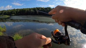 Мормышинг  рыбалка на карася, влетел трофей