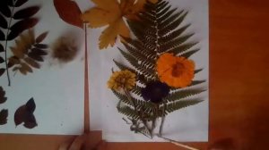 Гербарий на листе