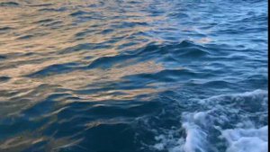 Вода: моря и океаны, реки и озера