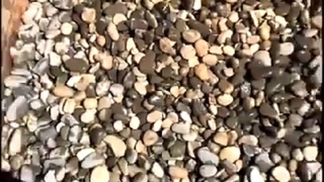 Морская галька в интерьере Морская галька на дачном участке смотреть онлайн