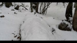 От Родникового до Спирады