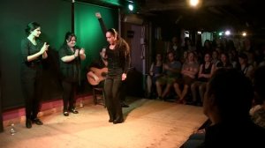 Adi Akiva - Solea x Bulerías  Peña "Niño de la Alfalfa"