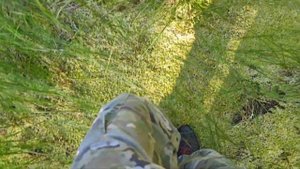 Первый летний боровичек и зрелая черника в лесах Марий Эл